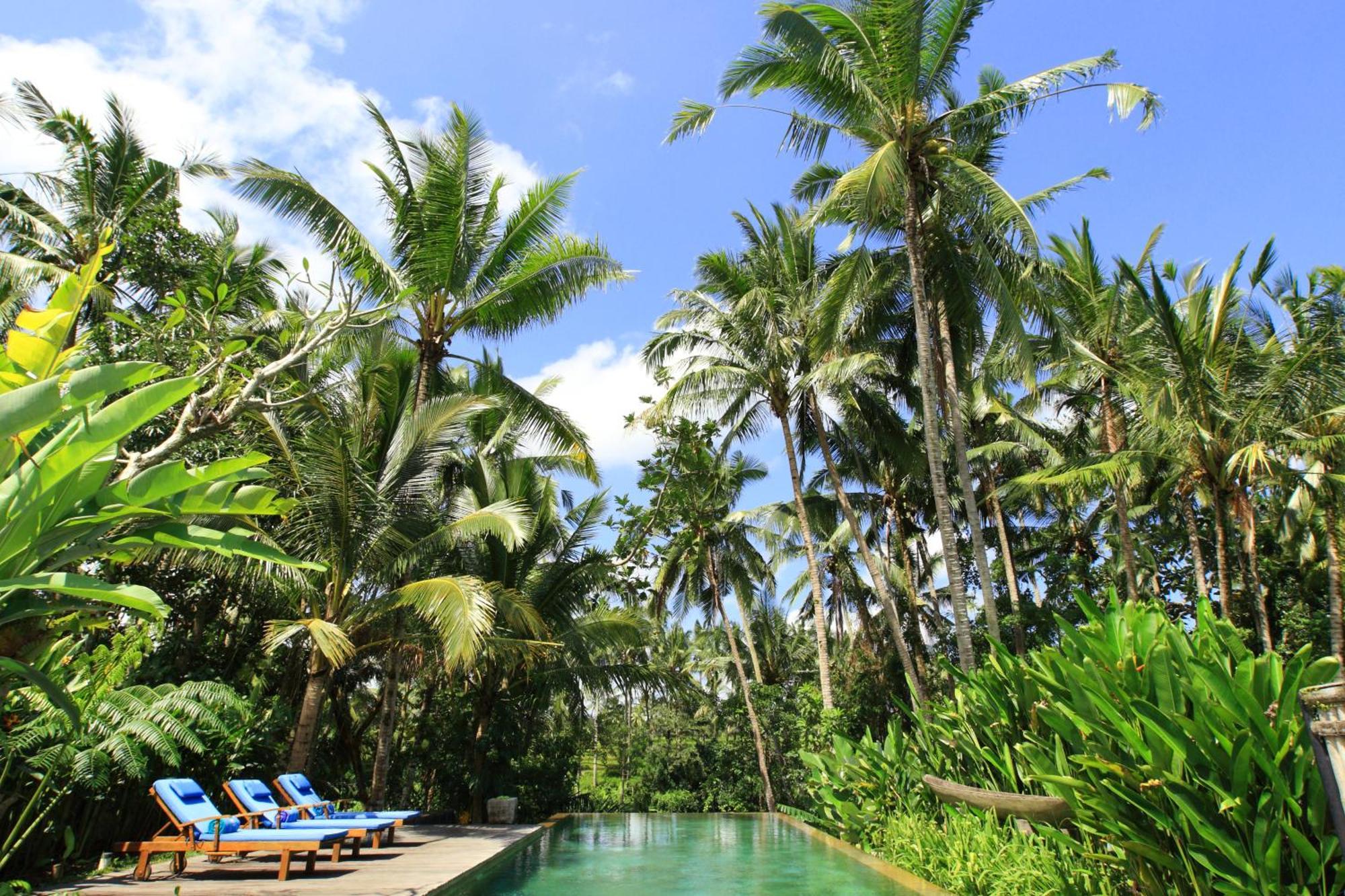 Swarapadi Villa Ubud Eksteriør billede