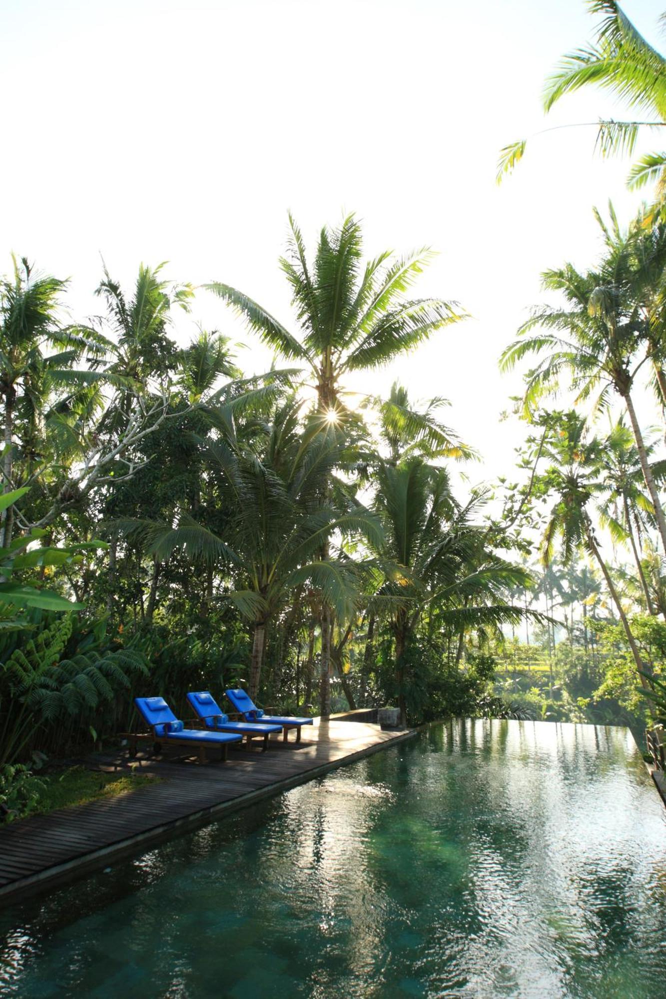Swarapadi Villa Ubud Eksteriør billede