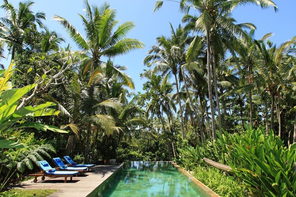 Swarapadi Villa Ubud Eksteriør billede